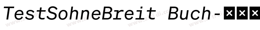 TestSohneBreit Buch字体转换